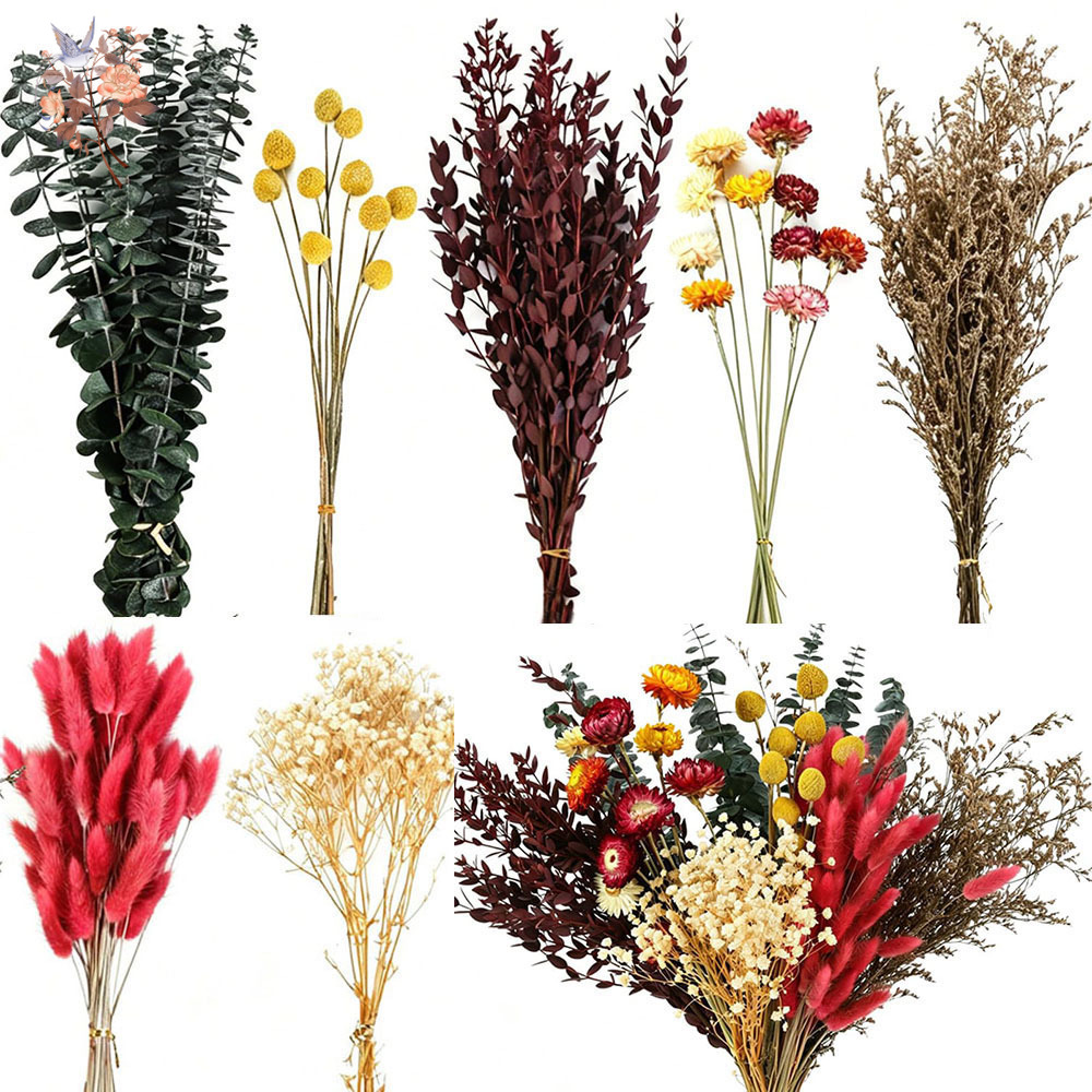 مجموعة كبيرة من الزهور المجففة - مراجعة Wedding Floral Supply وسعره